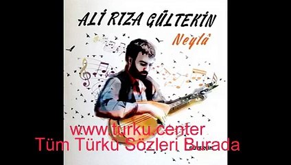 Ali Rıza Gültekin - Dil Efendim