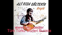 Ali Rıza Gültekin - Dil Efendim
