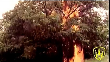 Галичанка. Українська  пісня.