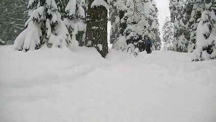 jumping through trees-Gulmarg 2015