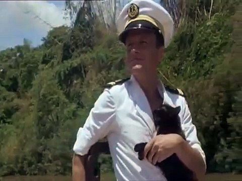 crabe tambour musique