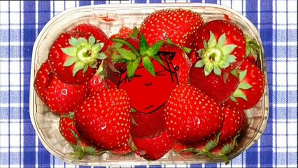 Charlie and Lola.S01E04.There's Only One Sun and That is Me