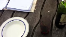 Chemtrails / Morgellons - Red Wine Test