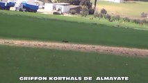 Griffon Korthals, Aire de Almayate compitiendo en prueba de primavera