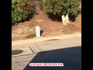 La moto à trois ça existe aussi