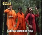 Nazia Iqbal - Dagha Palang Darta Sor Or Sha