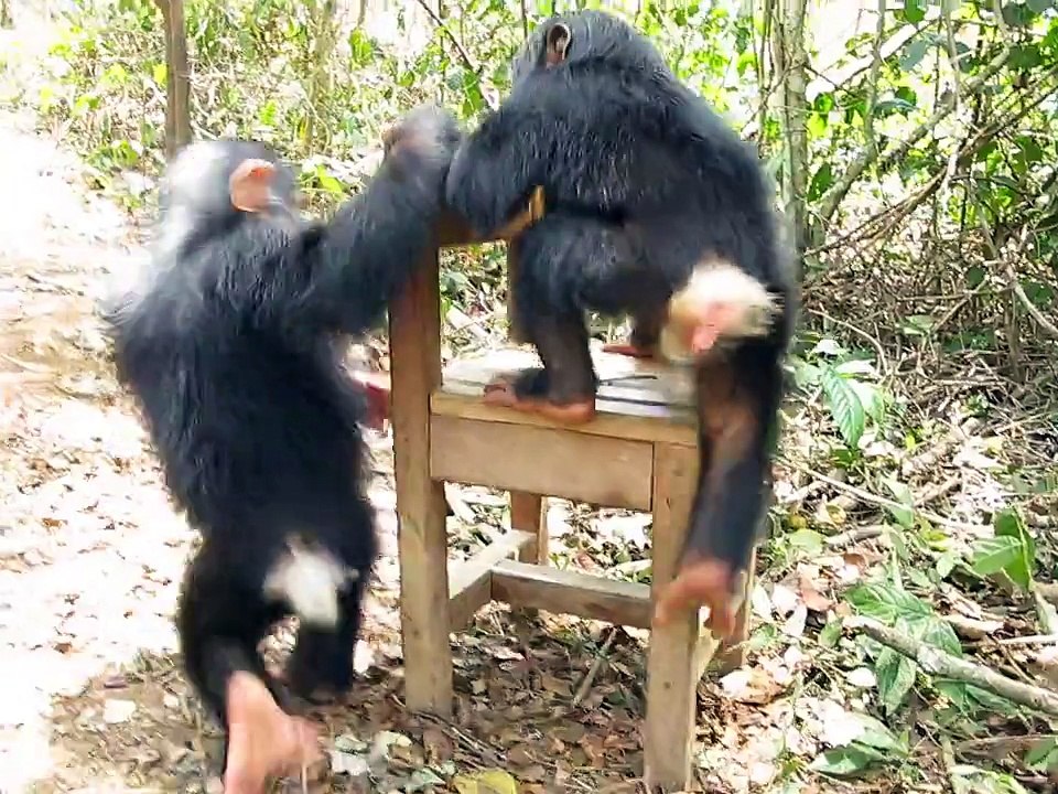 Kids Will Be Kids