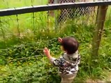 Greater Vancouver ZOO- 