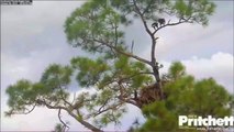 SWFLEagles~Ozzie & Harriet Have A Chat & More~10-6-14