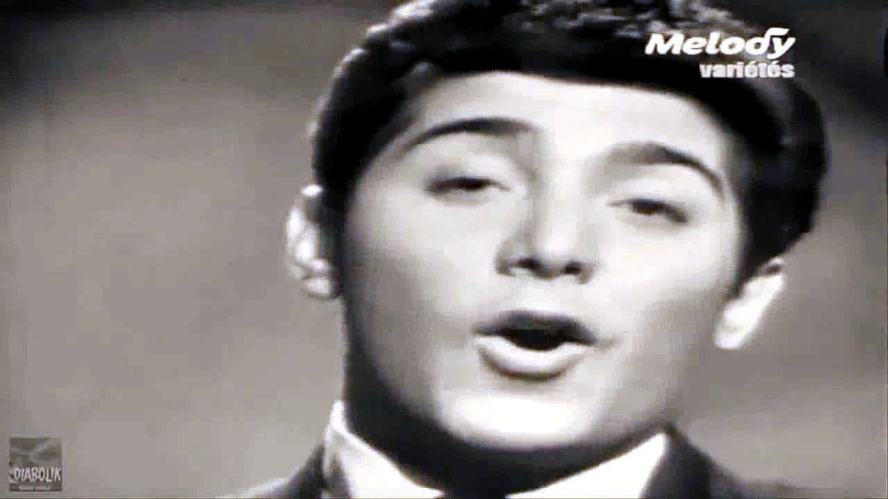 PAUL ANKA    DIANA