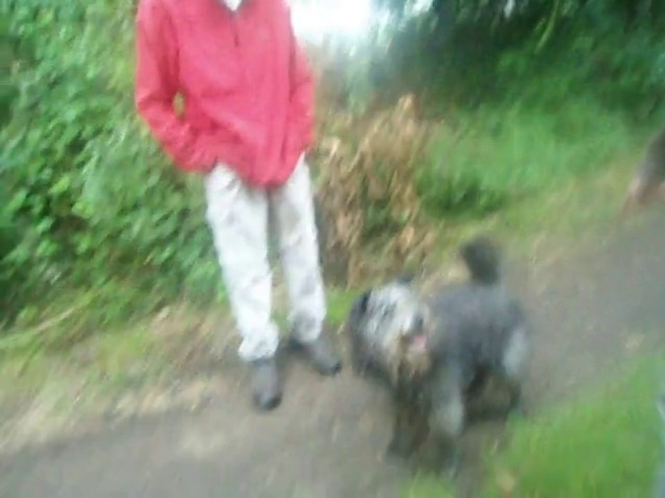 137 Snoopy s'amuse avec Sonia en vacances