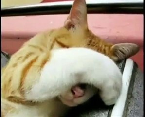 O PODER DA COMUNICAÇÃO