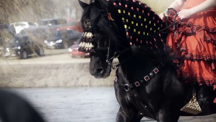 Mario Contreras 2014 Midwest Horse Fair Andalusian