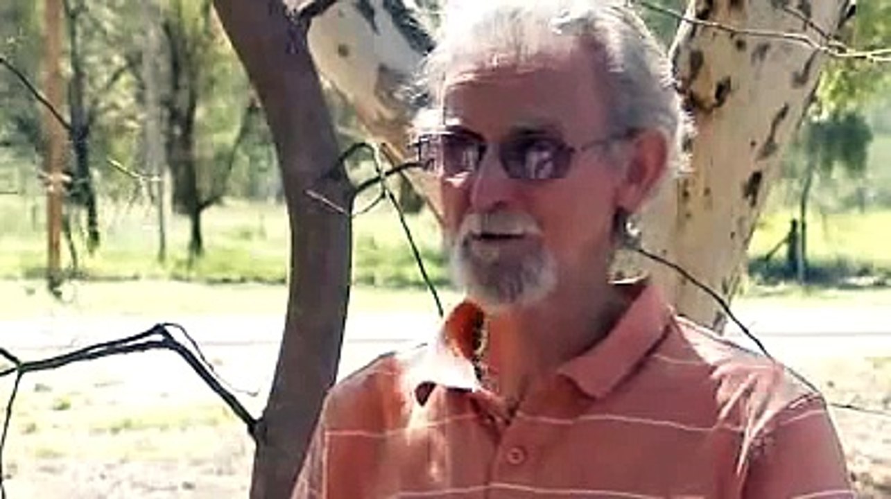 Rats plague Central Australia