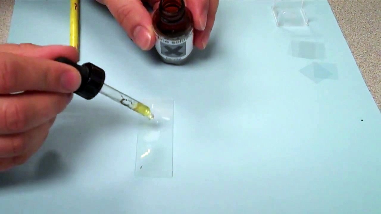 HOW TO PREPARE A SLIDE