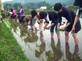 Min Tanaka Body Weather Butoh Farm: Rice Planting 6/13