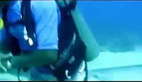 delfini roatan - video scuba diving  with funny dolphins