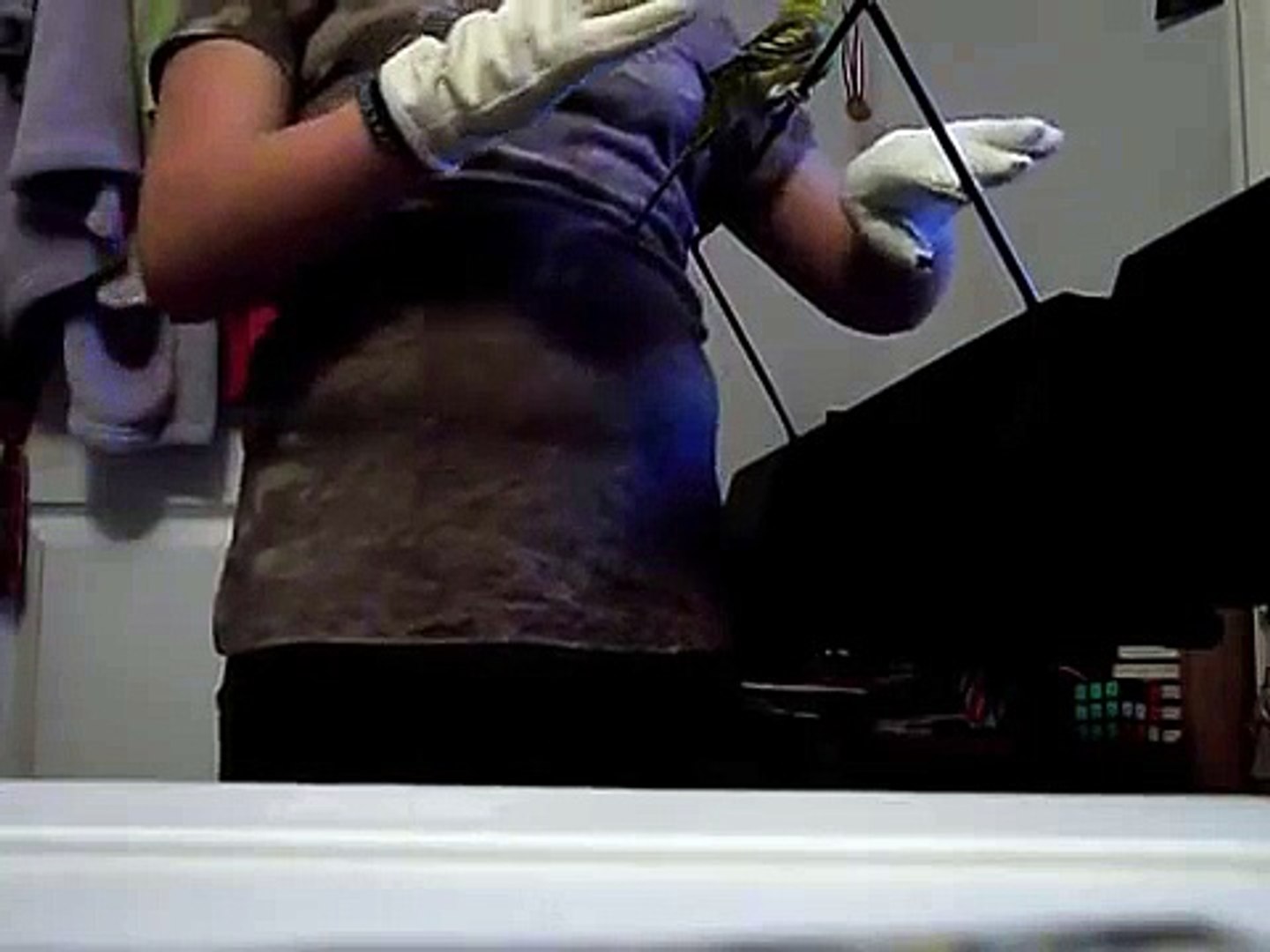 Easy Parakeet Trick in 5 minutes