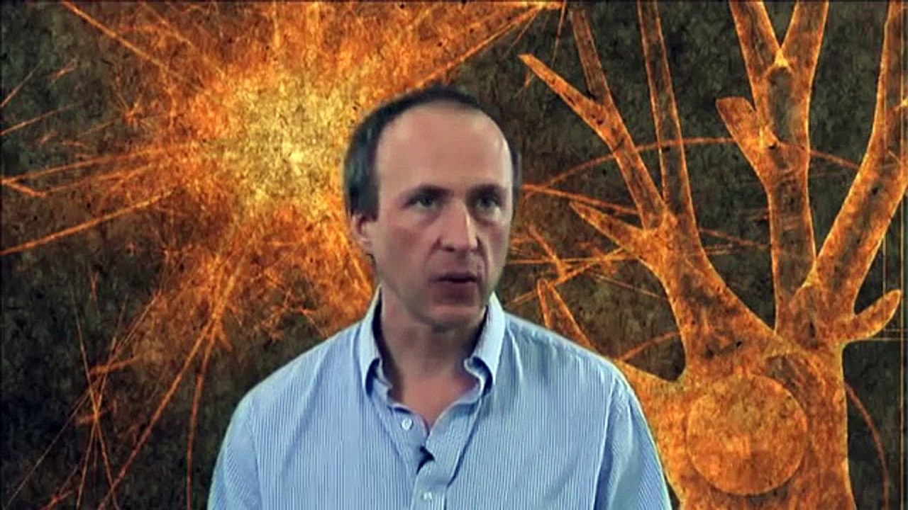 What happens in the brain when we meditate? - Zoran Josipovic, Chronicles 1