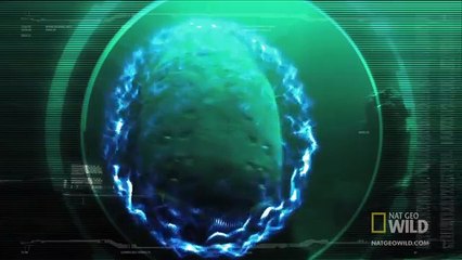 World's Deadliest - Six-Foot Electric Eel