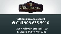 Sault Animal Hospital - Short | Sault Ste Marie, MI