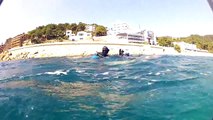 Diver Rescue;scuba diver rescue