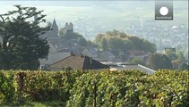 La Champagne et la Bourgogne viticoles au patrimoine mondial de l'Unesco