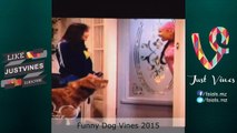 Funniest Dog Vines Compilation 2015 Best VINES 2015