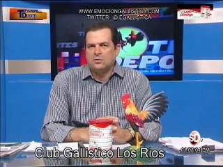 Programa-TECNODEPORTES-Resumen-1-7-2015-Jugada-Especial-Club-Gallistico-Los-Rios