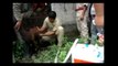 Inicia campaña de vacunación de ganado contra la fiebre aftosa en El Oro