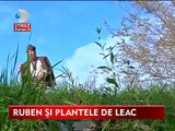 Spune ca nu exista boala fara leac! Ruben Stanila, VRACIUL care vindeca totul cu ajutorul plantelor medicinale