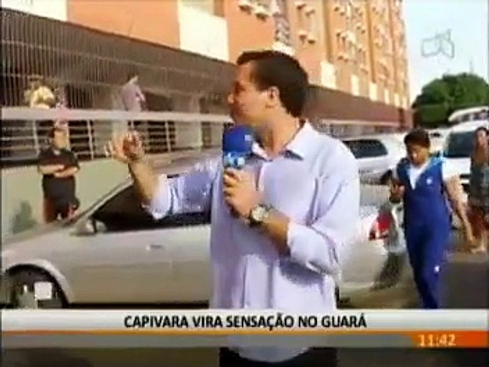 Susto