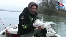 Boat fishing for zander on spinning. Fishing with crankbaits, jigging