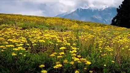 Nature Beautiful of  Pakistan