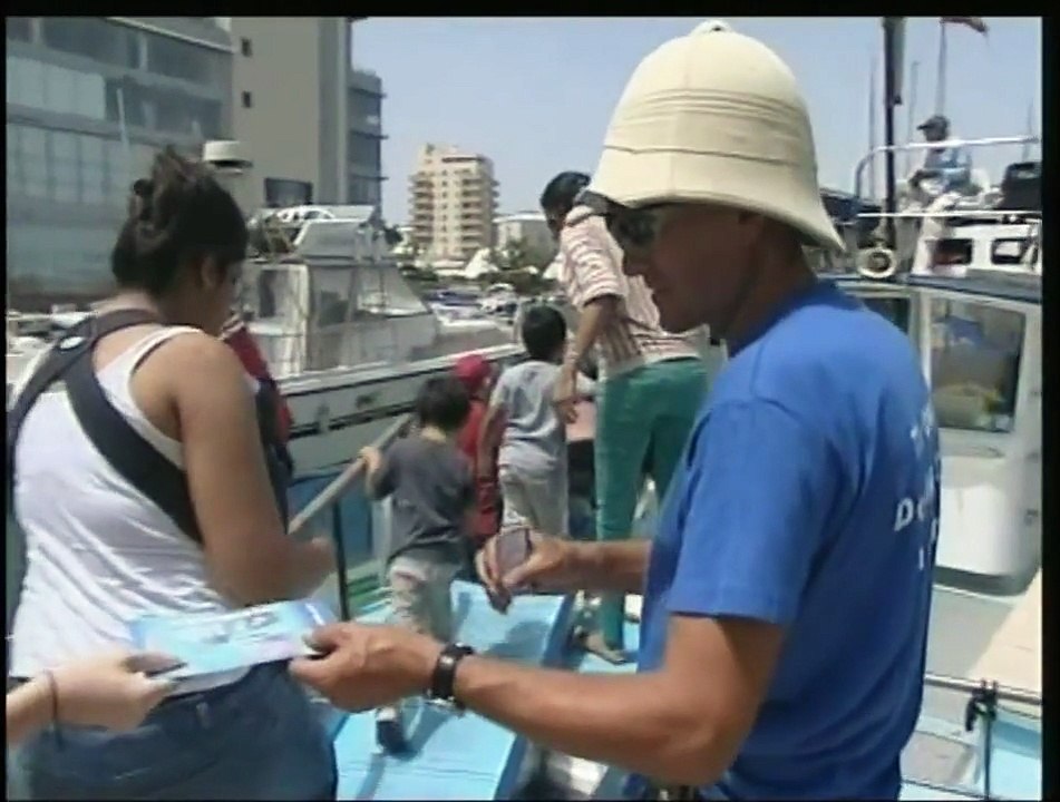 Killer Whales have been eating our dolphins.