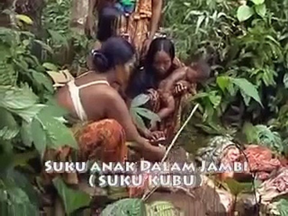 Nikah Orang Kubu jambi
