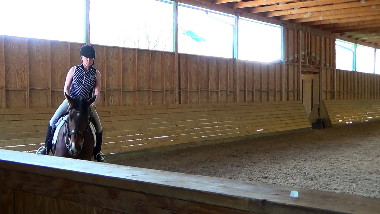 May 18, 2015 Mary Wanless, riding Bonitio, stop crash landing