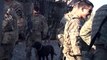 Explosive Detection Dog Searches For IED's In Afghanistan - Dogs At War