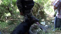 En Quitumbe, Policía Nacional inició nueva búsqueda de niños desaparecidos