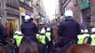 AT5 Nieuws - Hooligans slopen Irish pub - UPDATE