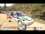 Horse Power Team - Rally Desafio