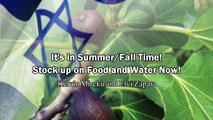 It's in Summer/Fall Time! Stock up on Food and Water Now! - Kelvin Mireku and Elvi Zapata