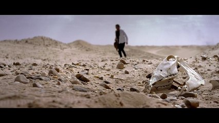 Aly & Fila feat. Roxanne Emery - Shine