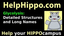 Glycolysis(3/5): Detailed Structures, Full Enzyme Names: Carbon chains and Sugar rings