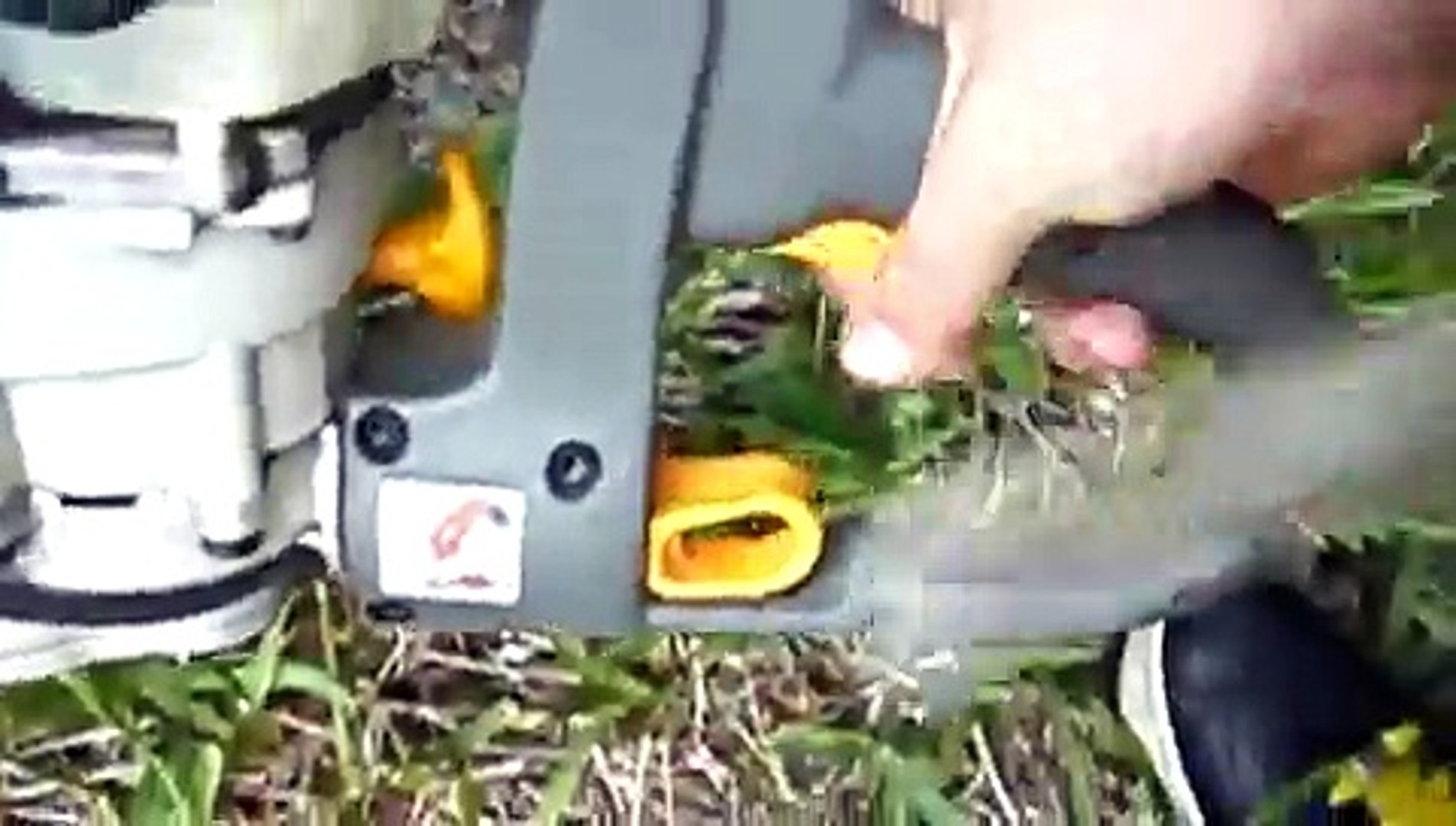 Cold start Run And Review of the Ryobi HT26 Hedge Trimmer