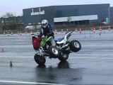 elite stunters quad moto Scooters