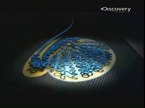 2/7 Los Espermatozoides La Gran Carrera a la Fecundacion