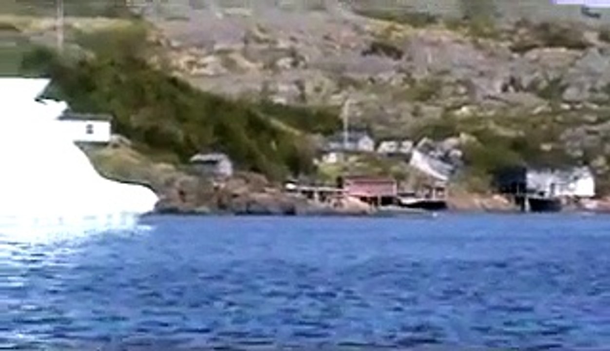 Blog: Icebergs, Icebergs, Icebergs - Newfoundland & Labrador