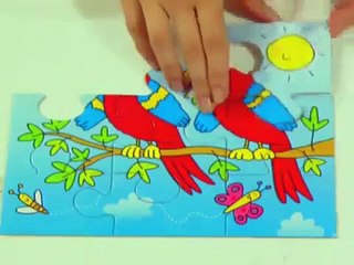 Animals Swing, Swim & Sing - Colloquial Arabic Stories & Songs for Kids DVD