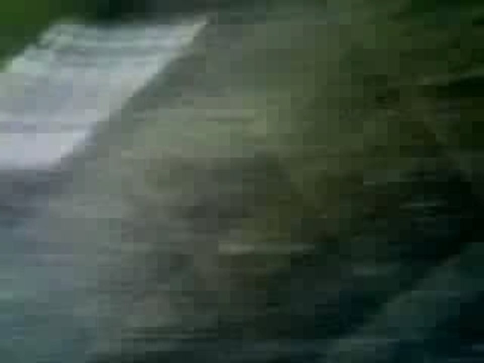 Vodka cul sec : avant - apres